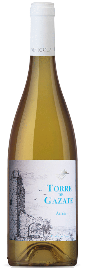 TORRE DE GAZATE AIRÉN 2024