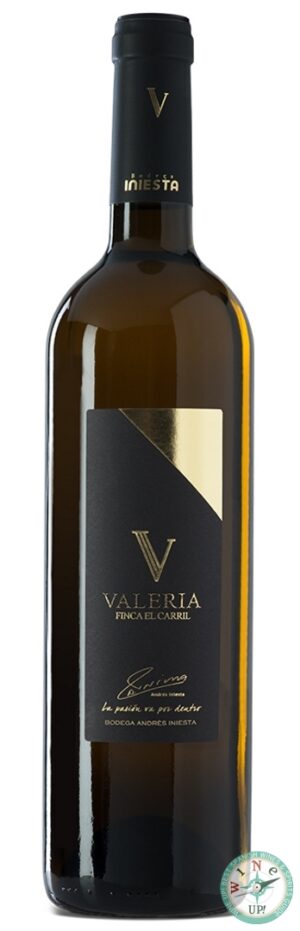 FINCA EL CARRIL VALERIA 2022