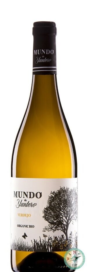 MUNDO DE YUNTERO 2024