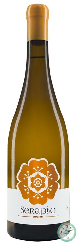 SERAPIO RISCO 2024