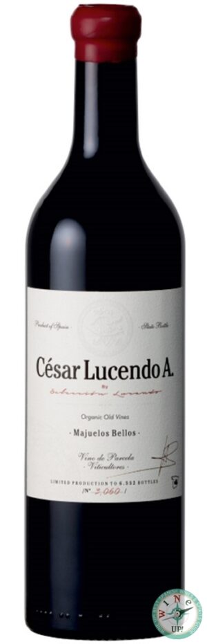 CÉSAR LUCENDO A. 2021