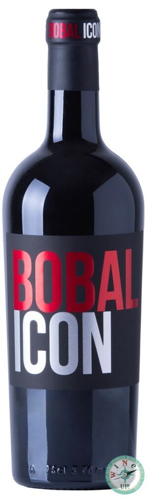 BOBAL ICON 2023