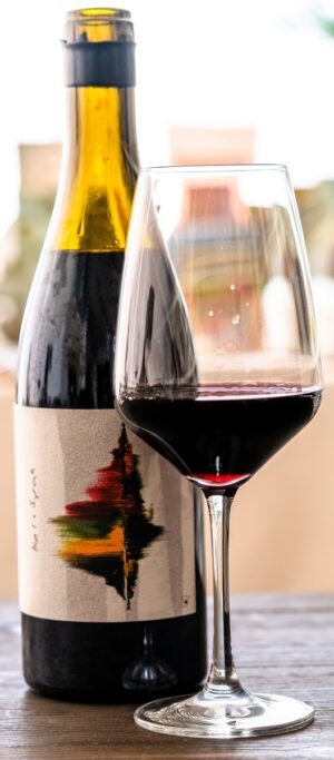 MESETA SUR BIN 8 2021