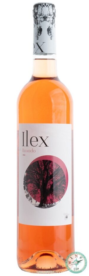 ILEX ROSADO 2024
