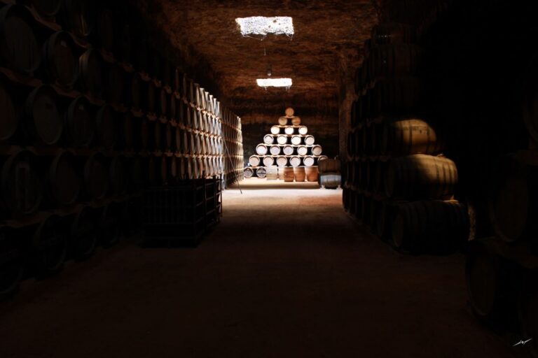 Bodegas y Viñedos VERUM