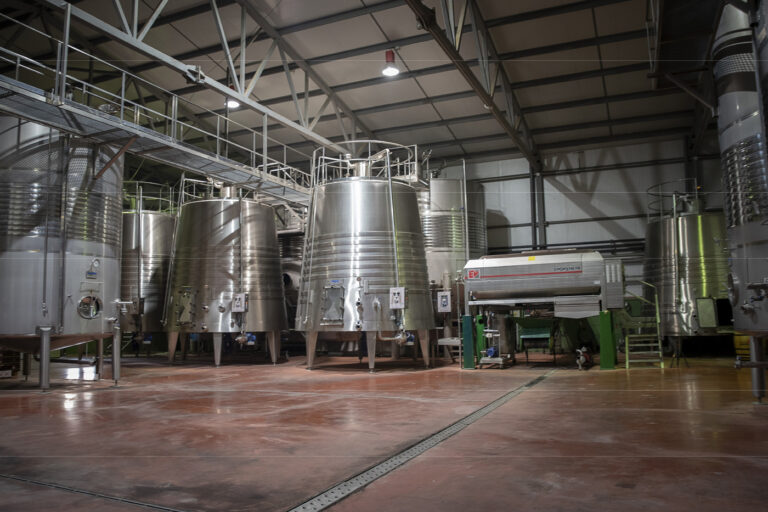 BODEGAS CORONADO