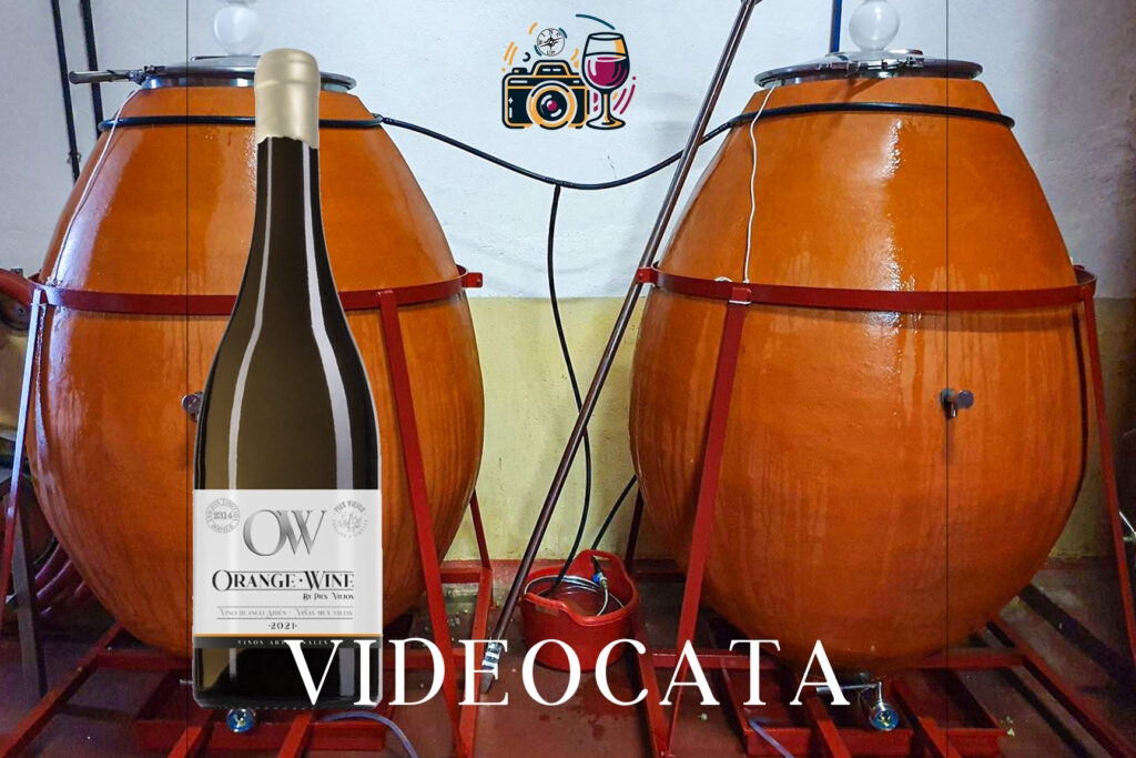 VIDEOCATA ORANGE WINE BY PIES VIEJOS 2021