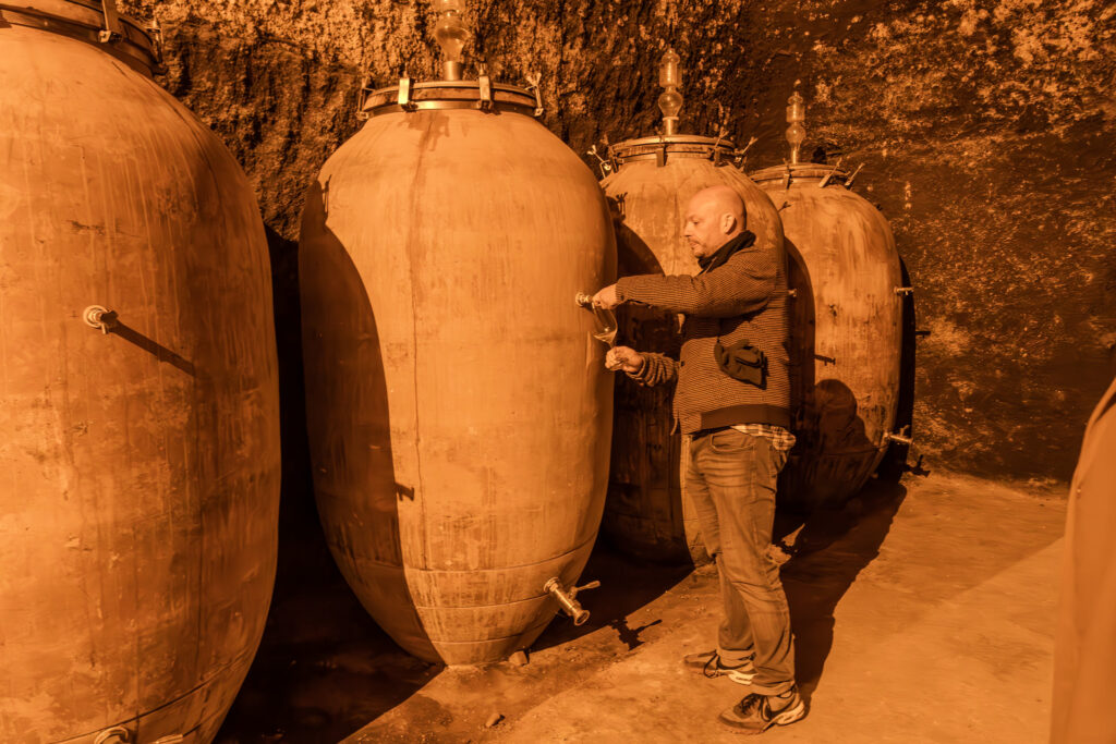 Orgullo para Tomelloso: Bodegas Verum logra un hito con dos vinos entre los imprescindibles para Beth Willard en Castilla-la Mancha