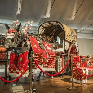 virgen de las viñas (10)