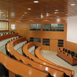 virgen de las viñas (4)